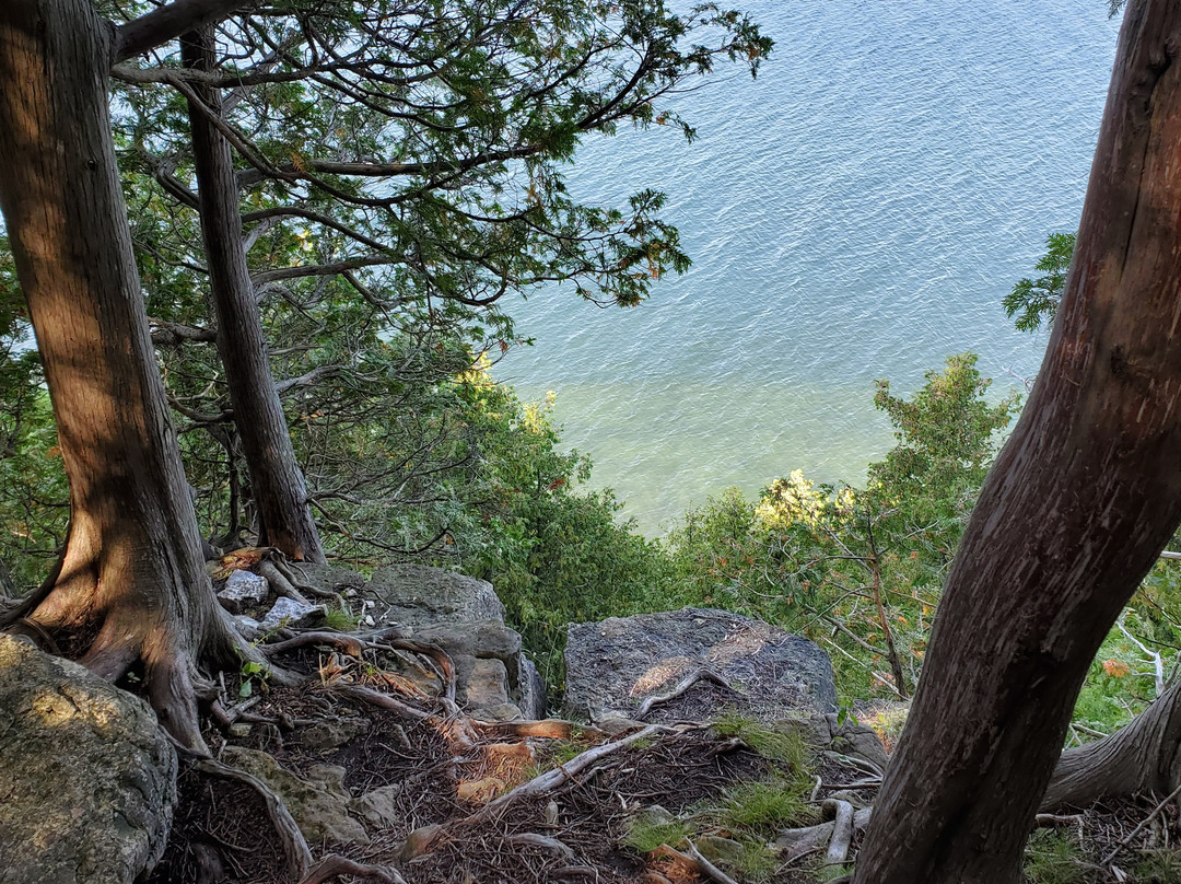 Door Bluff Headland’s County Park景点图片