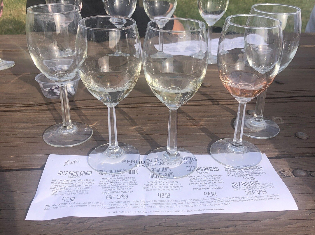 Penguin Bay Winery景点图片