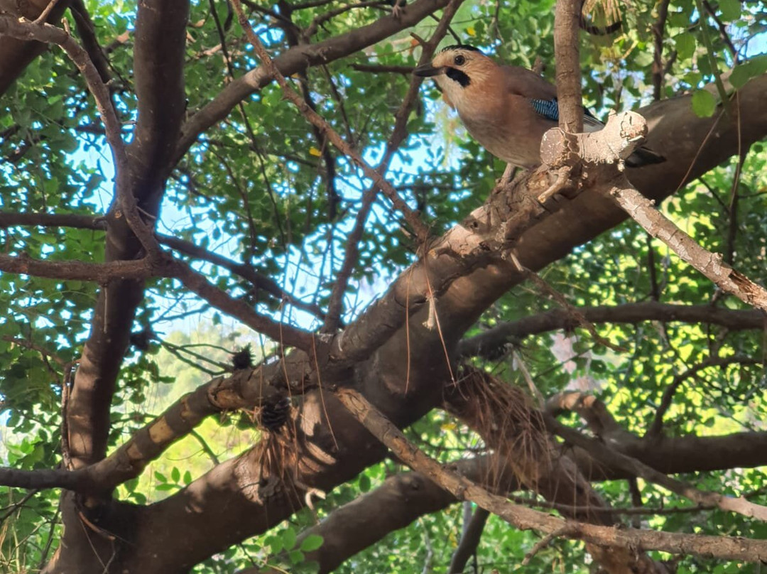 Tui Magic Life Sarigerme主图