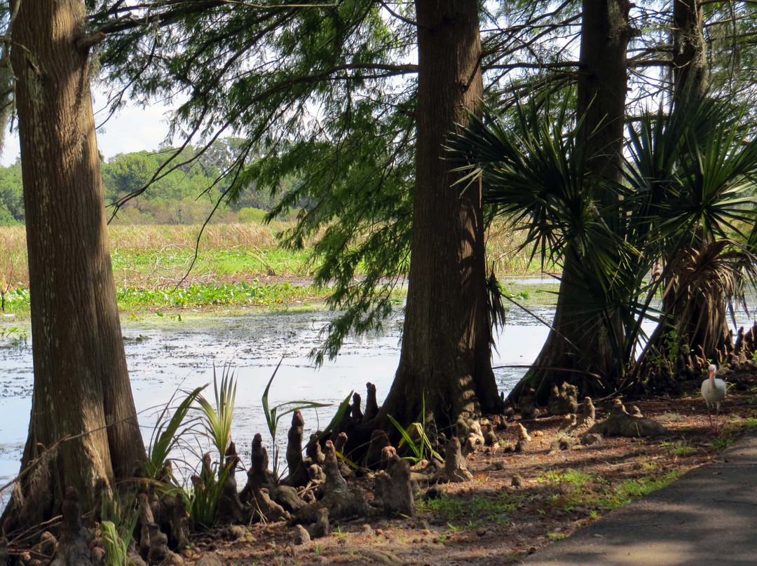 Lake Parker Park-莱克兰必去景点
