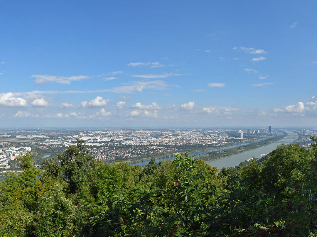 Burg Leopoldsberg-维也纳必去景点