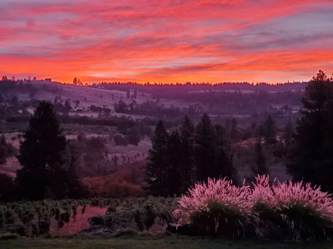 Three Sleeps Vineyard B & B主图