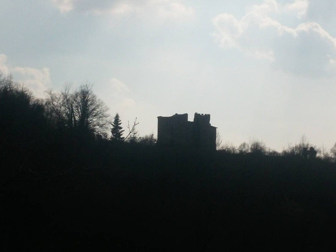 castello del Bisciaro景点图片