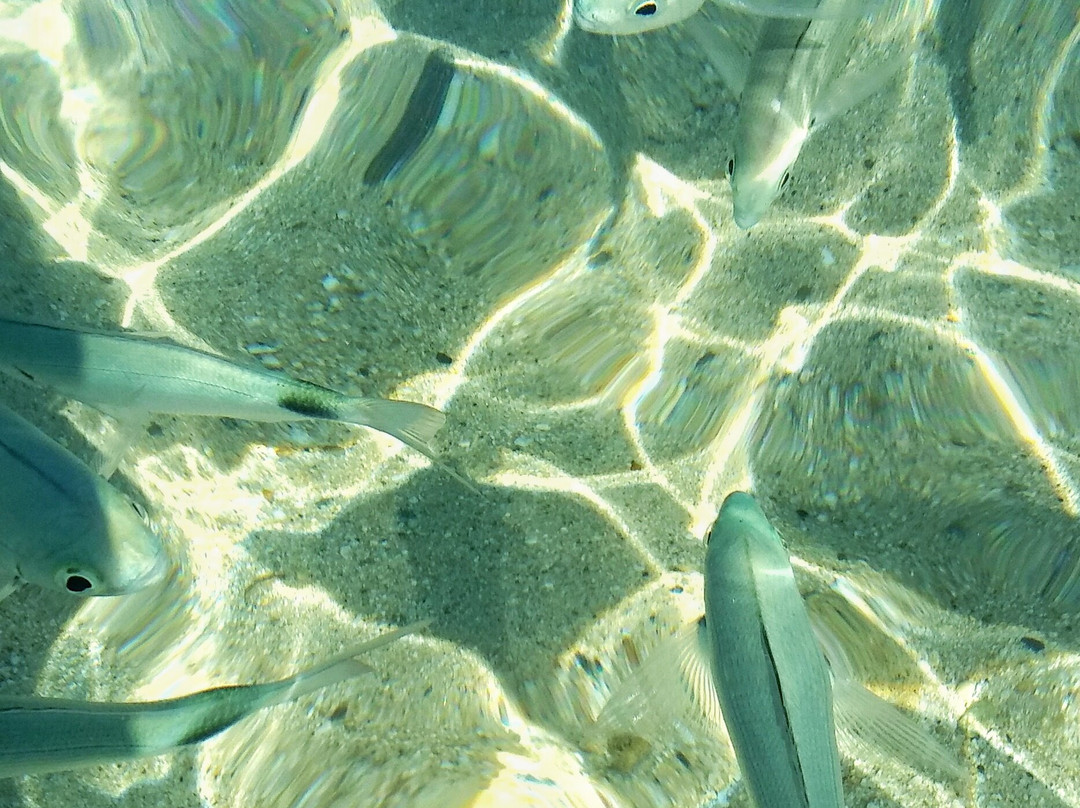 Spiaggia Cala San Stefano-维拉西谬斯必去景点