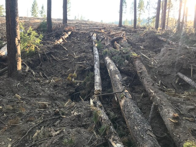 Flying J Ranch Park-Conifer必去景点