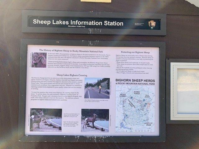 Sheep Lakes-落基山国家公园必去景点