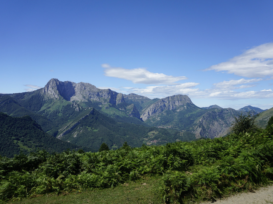 Parque Natural de Ponga景点图片