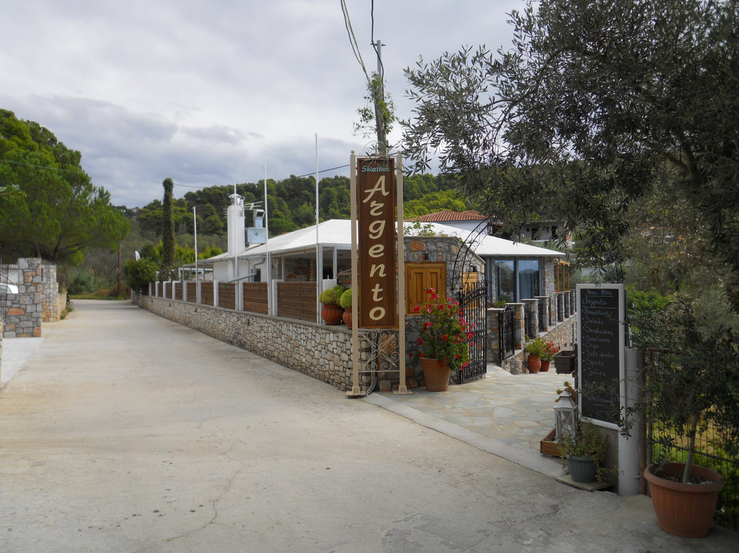 Theodora Studios主图