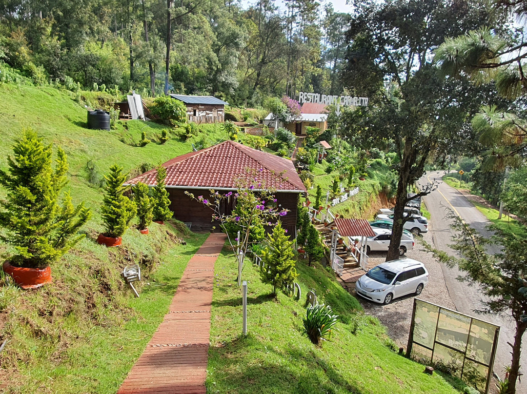 Mexplorer Adventures-瓦哈卡必去景点