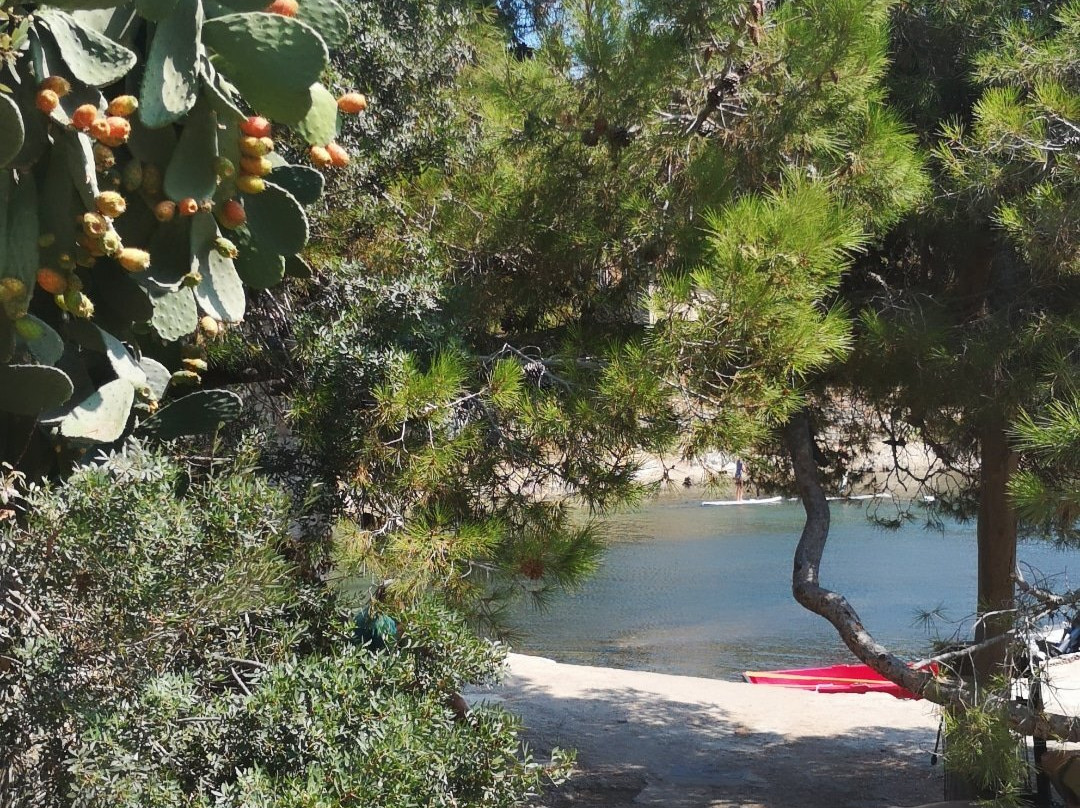 Port du Niel-Giens必去景点