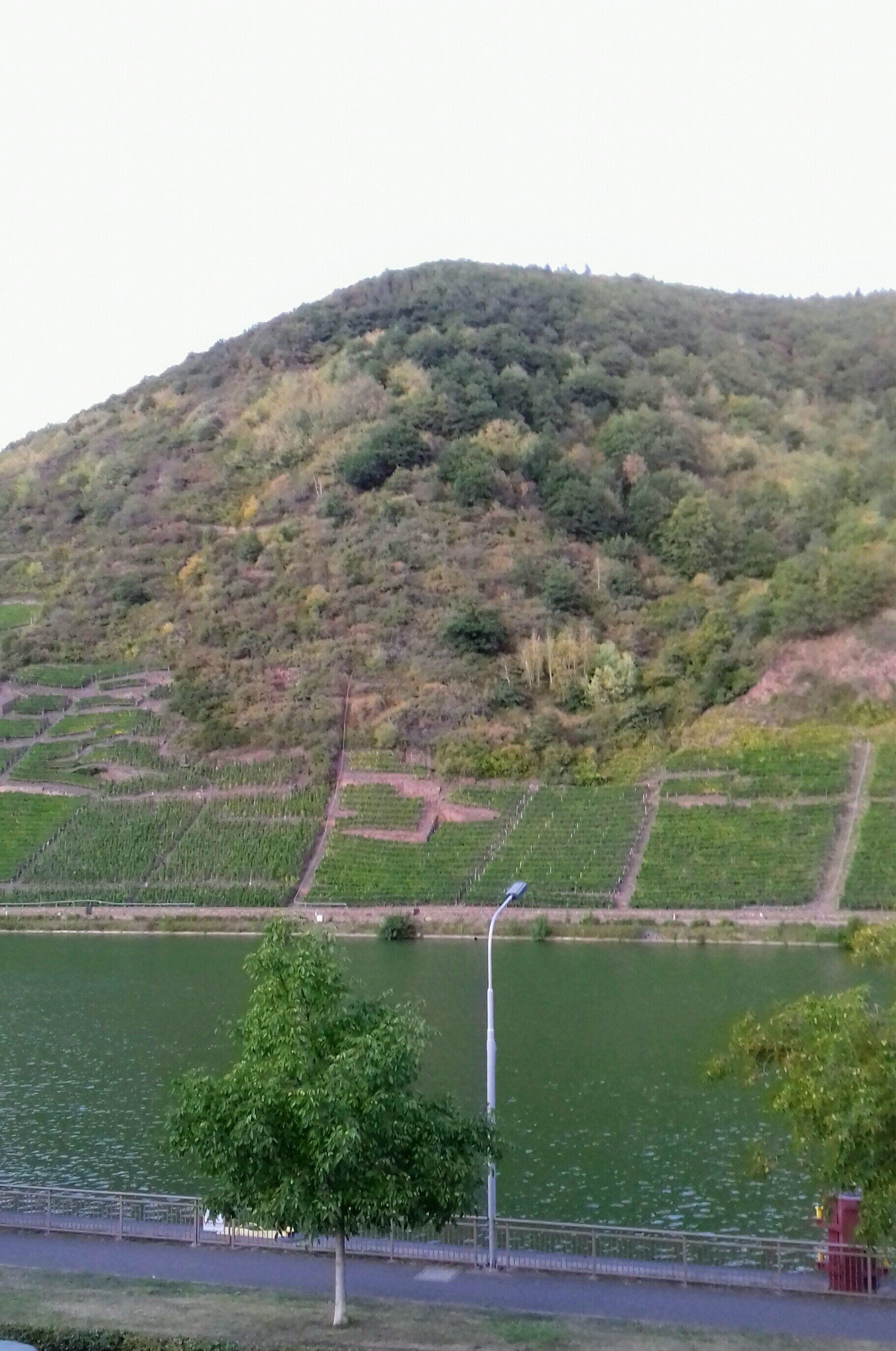 Gasthaus Koenen-酒店景观