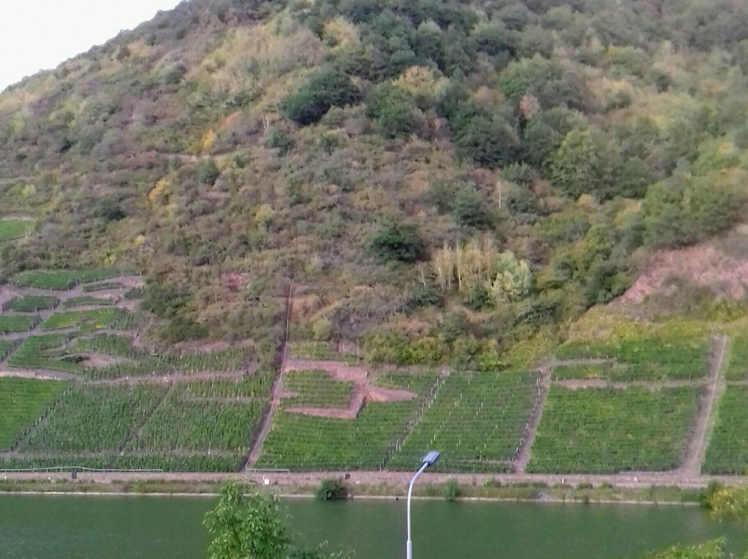 Gasthaus Koenen主图