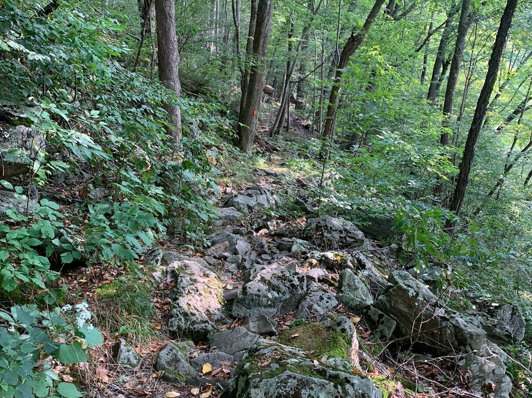 Worlds End State Park景点图片