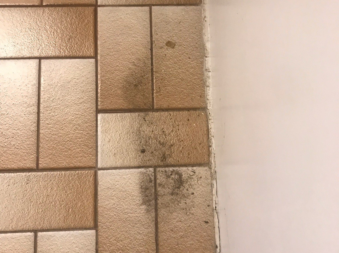 Bramston Beach Resort主图