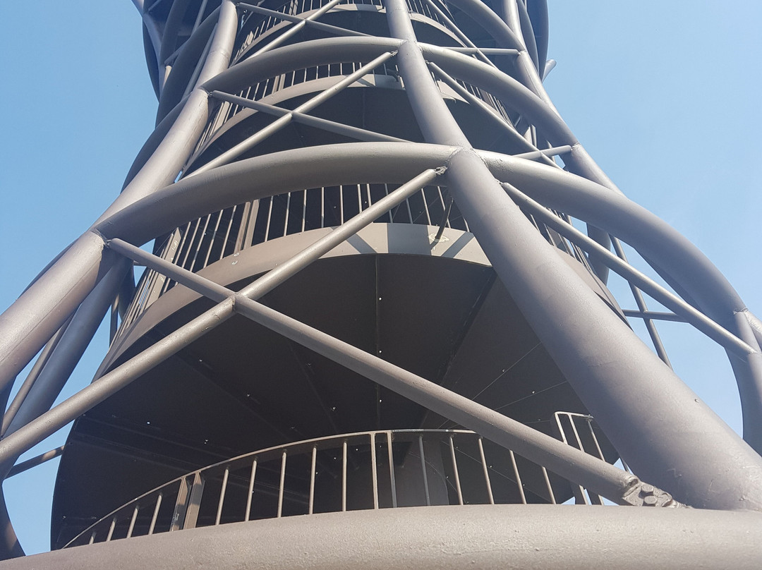 Torre Panoramica Foce dell'Adige景点图片