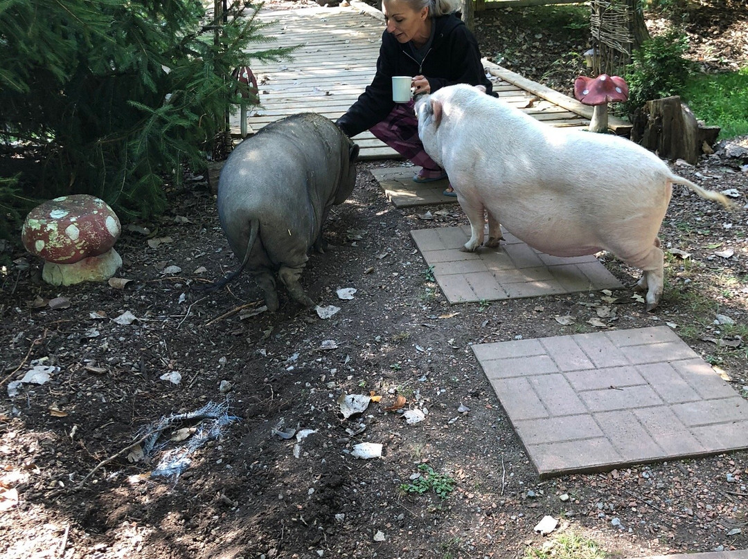 Natures Energy Centre & Sanctuary主图