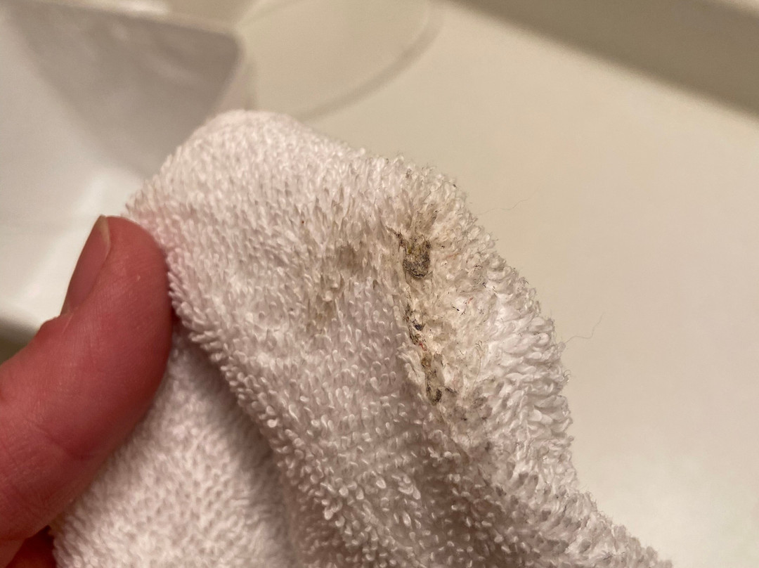 Days Inn by Wyndham Moose Jaw主图