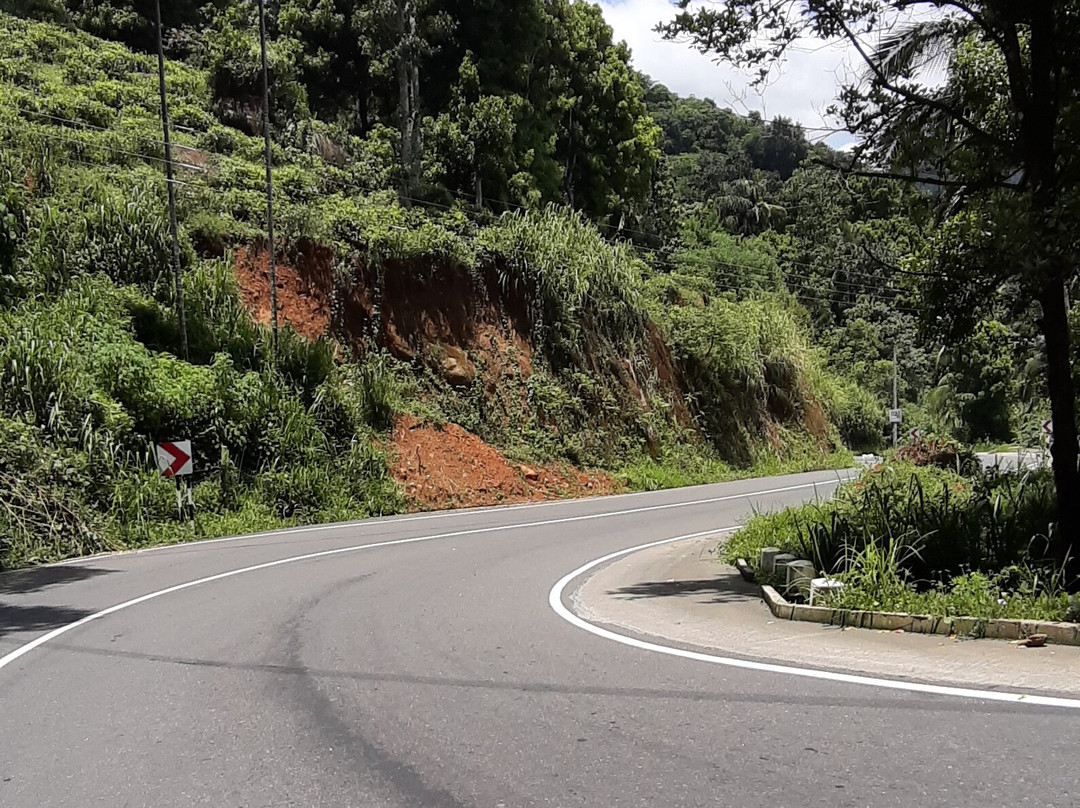 Rockbourne Bungalow主图