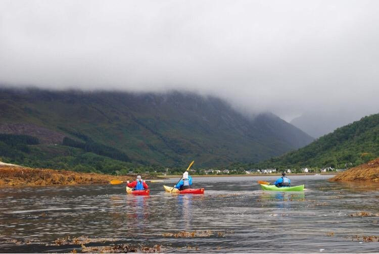 Rockhopper Sea Kayaking - Day Tours景点图片