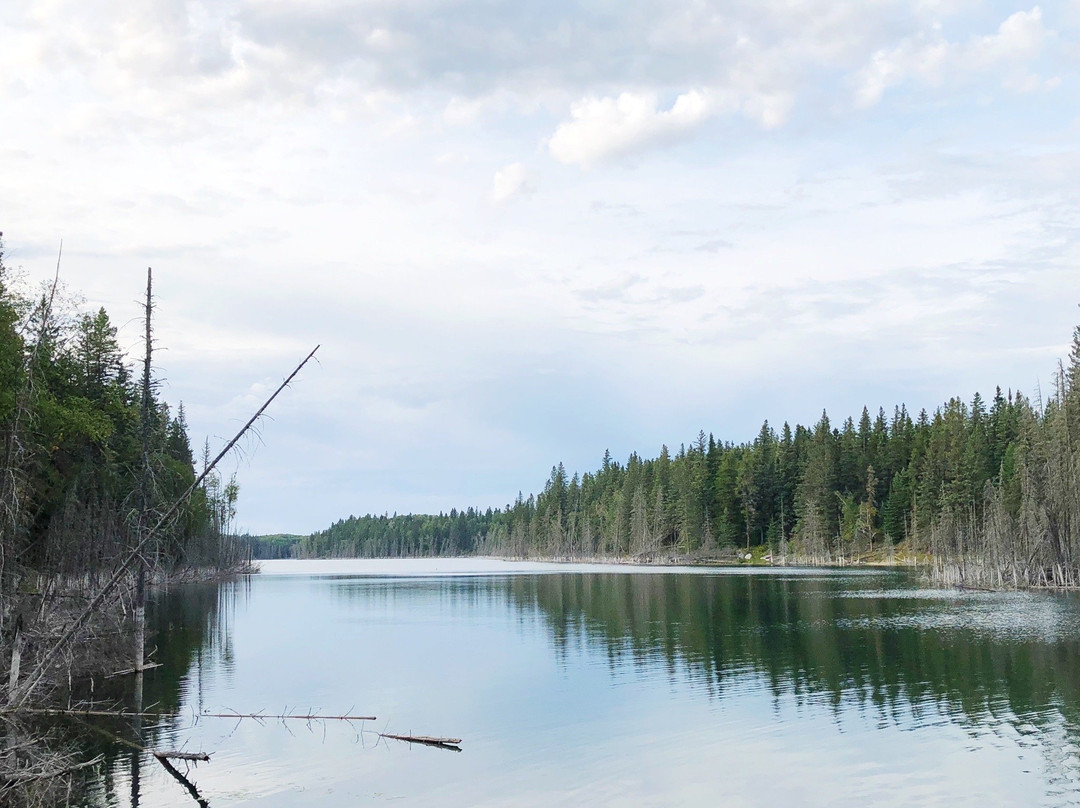 Duck Mountain Provincial Park-曼尼托巴省必去景点