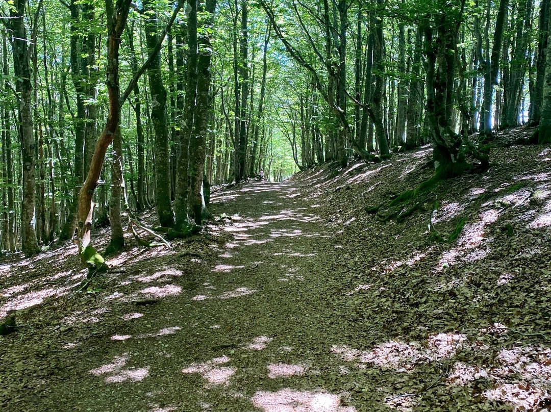 Aizkorri-Aratz Natural Park景点图片
