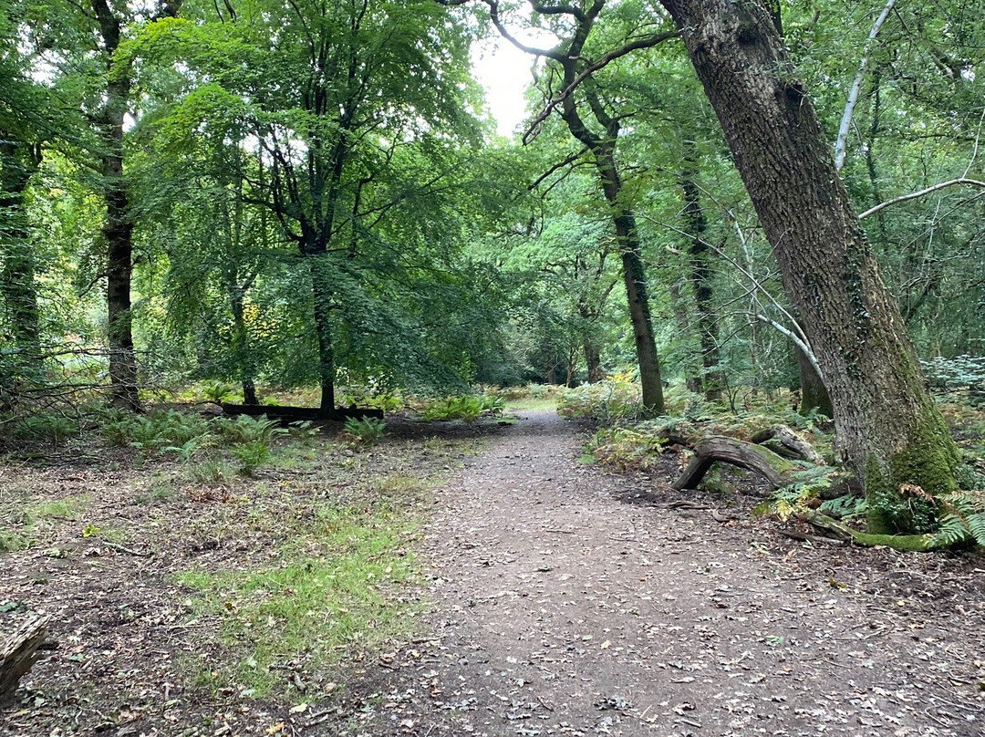 Nagshead Nature Reserve-Parkend必去景点