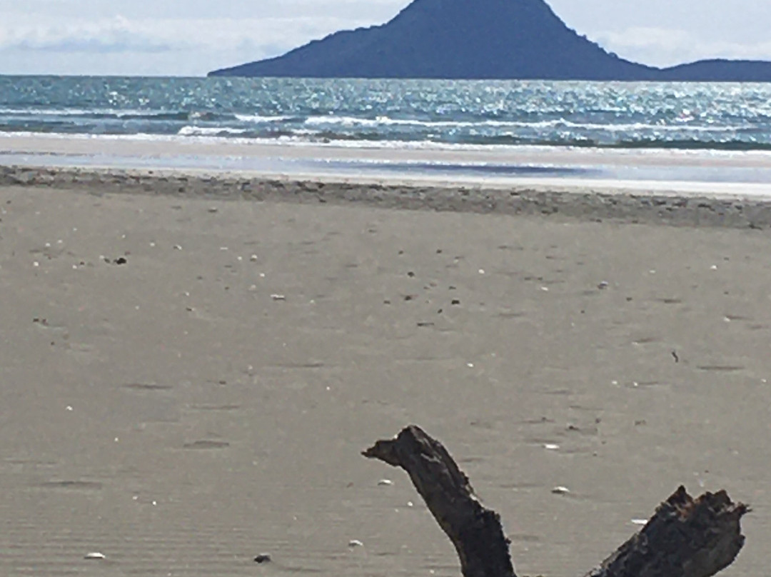 Ohope Beach景点图片