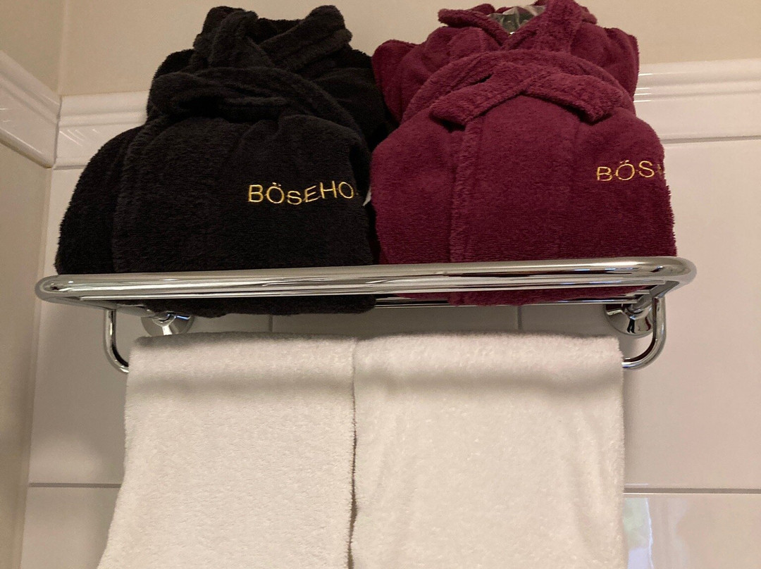 Romantik Hotel Boesehof主图