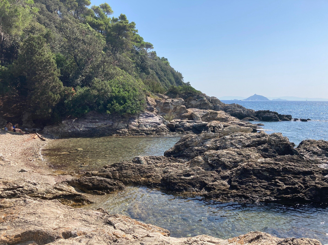 Cala delle Alghe景点图片