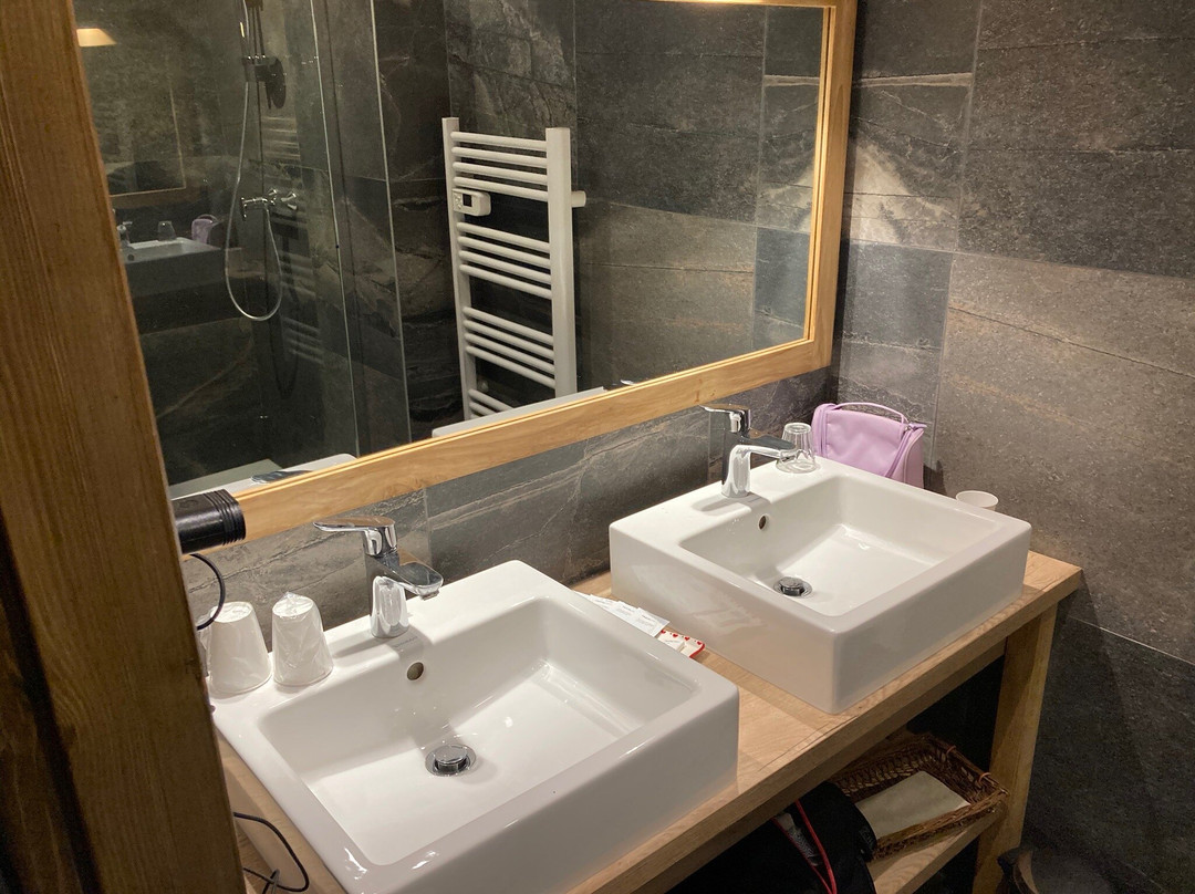 Hotel Le Glacier Des Evettes主图