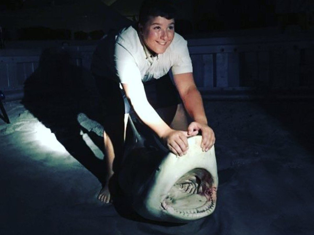 Off The Beach Shark Fishing Day Trips景点图片