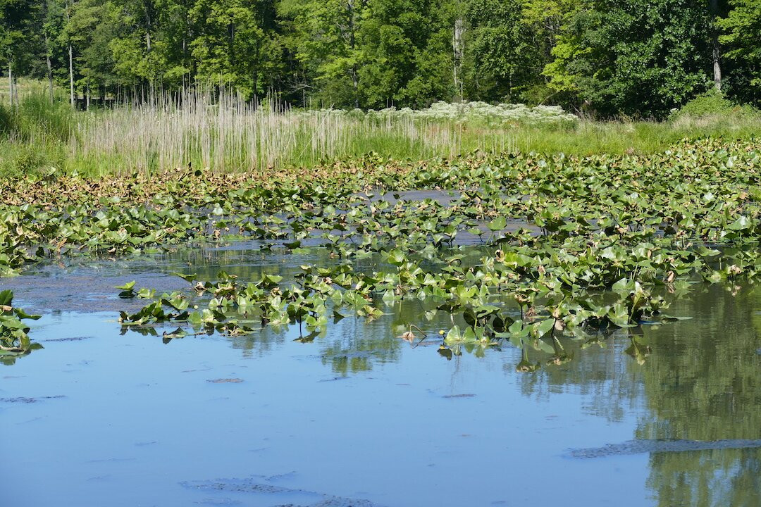 Veteran Legacy Woods Park-Newbury必去景点