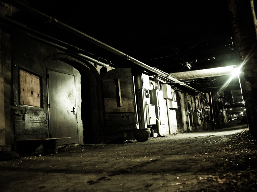 Savannah Terrors-萨凡纳必去景点