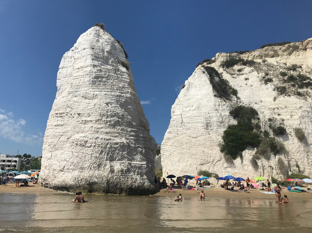 Spiaggia del Pizzomunno景点图片