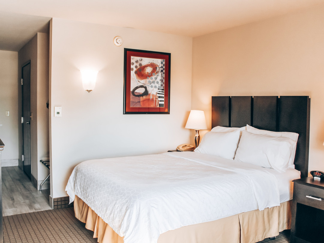 Lucille's Hotel主图