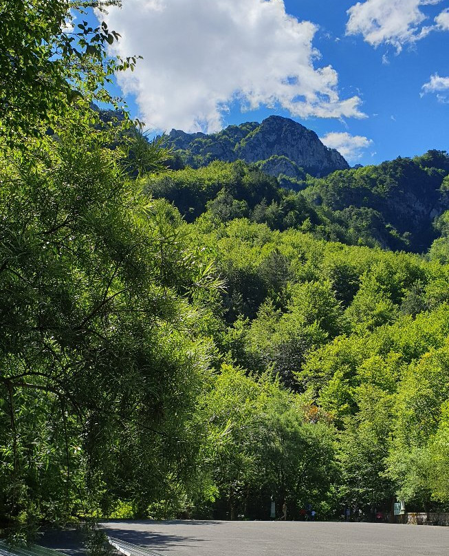 Parco Nazionale d'Abruzzo景点图片