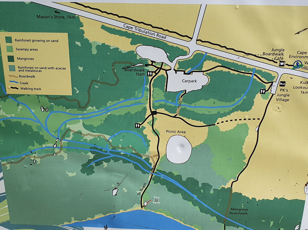 Myall Beach-Cape Tribulation必去景点