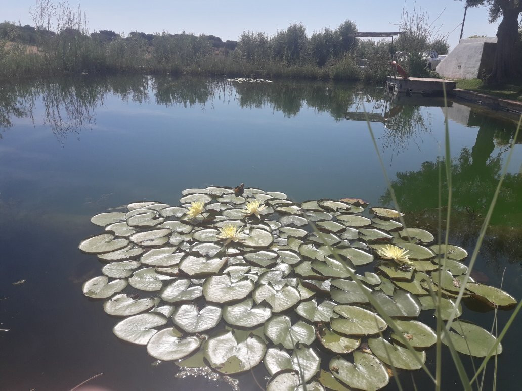Casa do Alto da Eira主图