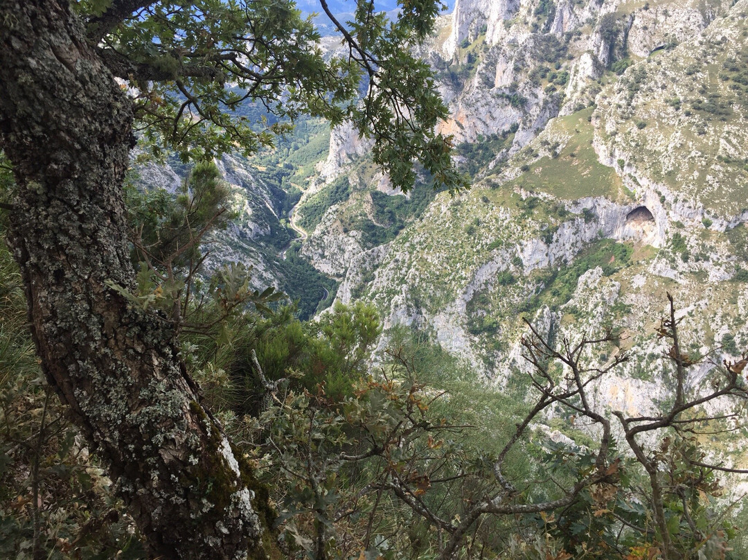 Mirador de Santa Catalina-Penarrubia必去景点
