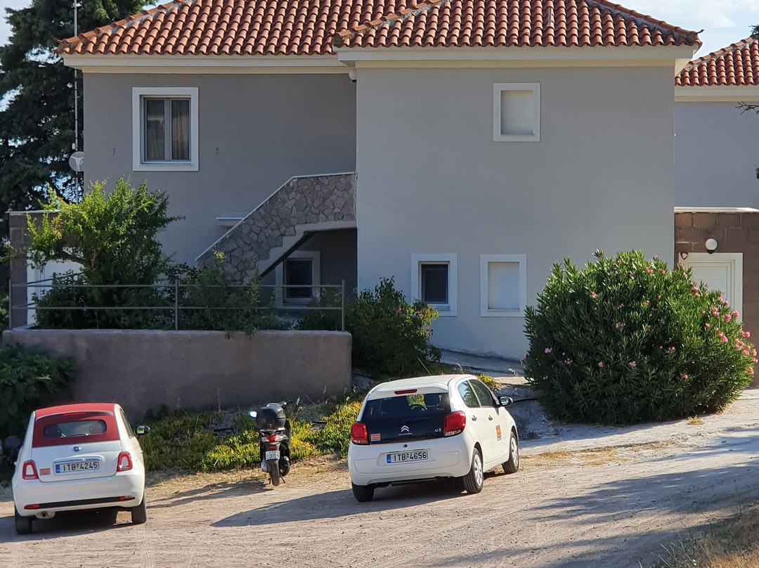 Tsipouri Gorgona主图