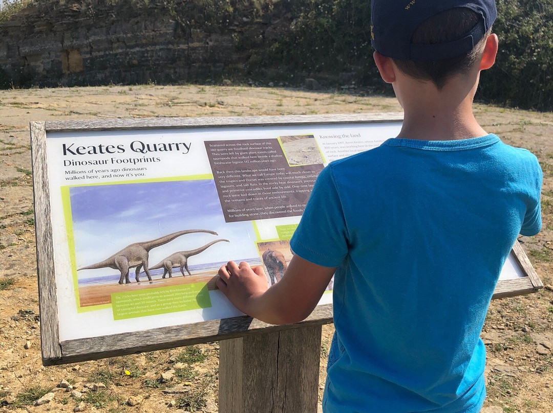 Keates Quarry Dinosaur Footprints景点图片