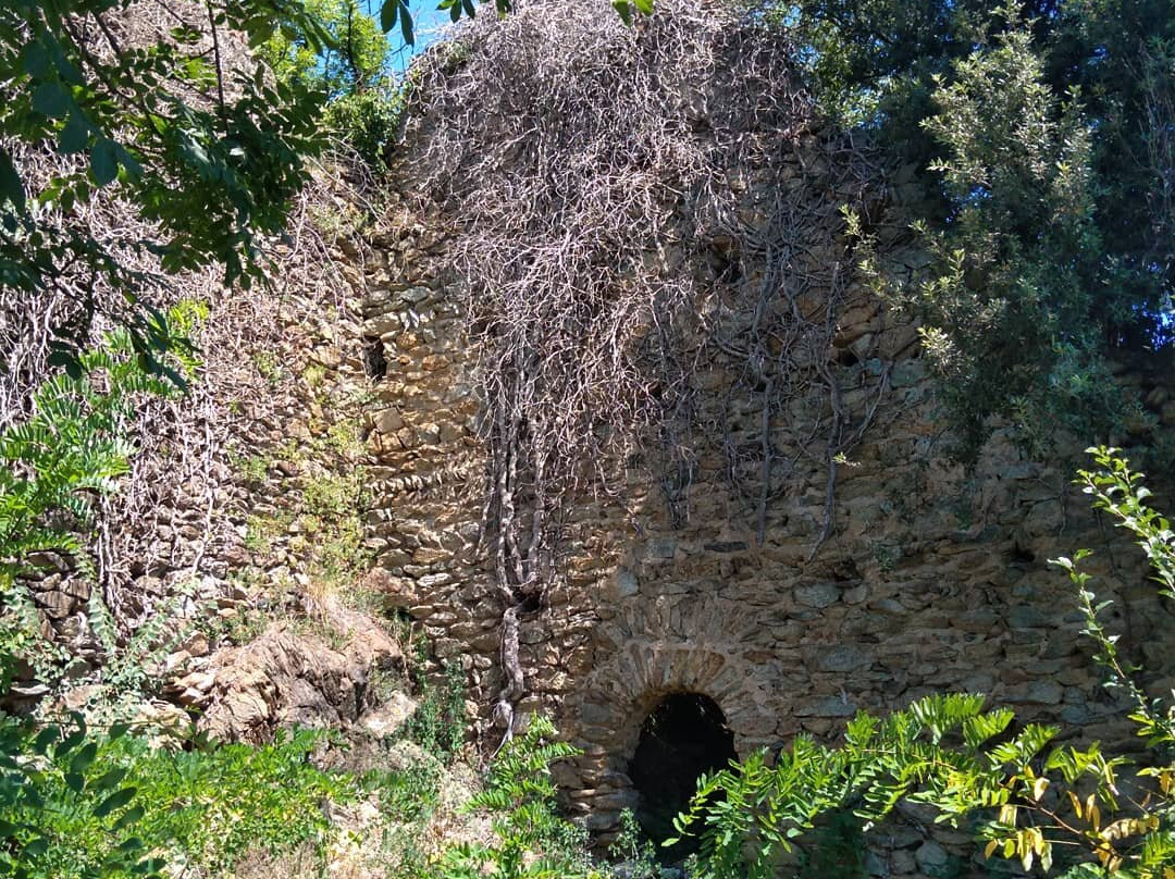 Castellaccio o Gran Merlone景点图片