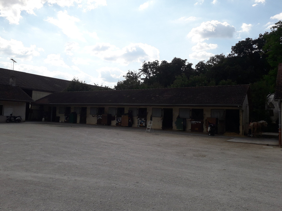 Centre Equestre Du Parc-Chateauvillain必去景点