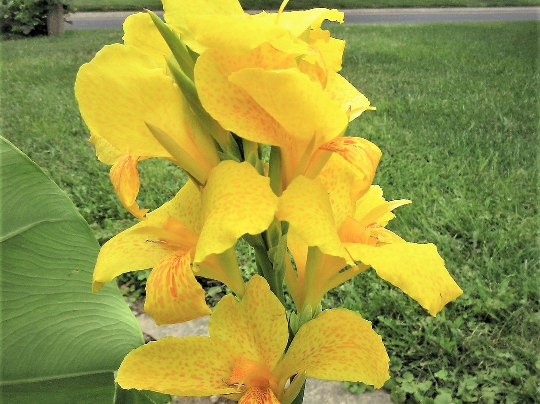 Grand View Drive-皮奥里亚必去景点