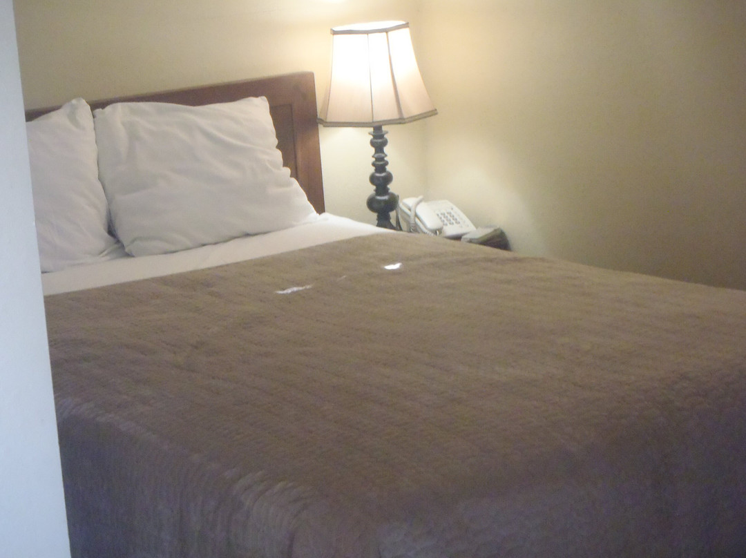 Tracy旅游攻略图片