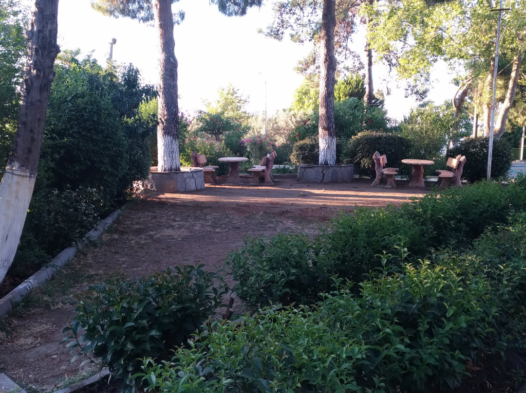 Altinoluk Merkez Parki景点图片