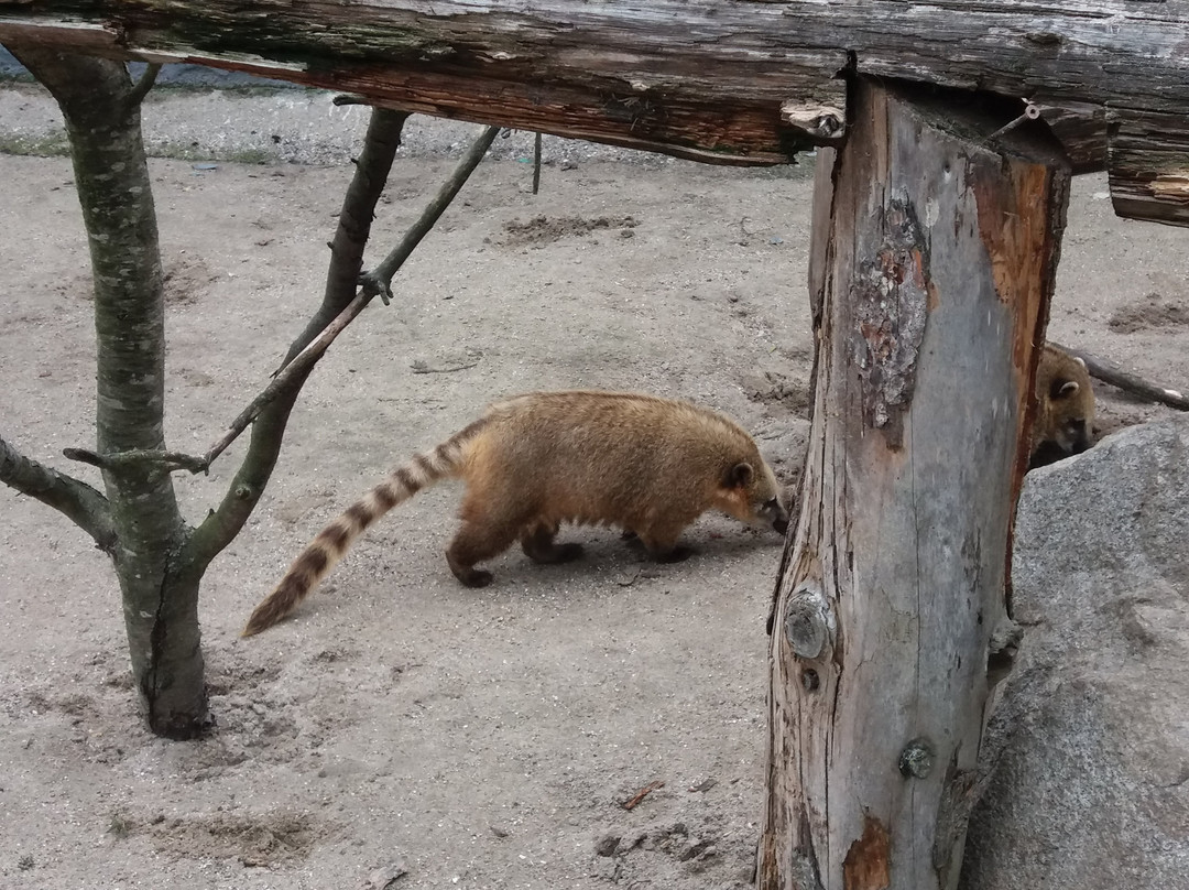 Munkholm Zoo-Balle必去景点
