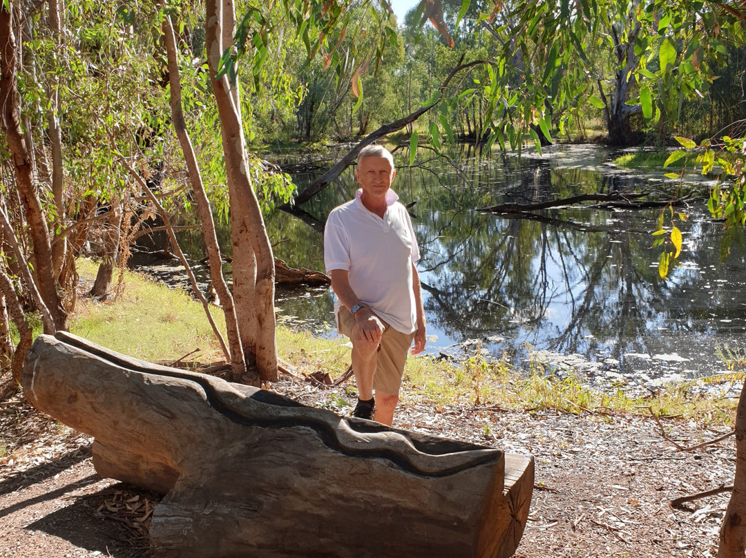 Wonga Wetlands-奥尔伯里必去景点