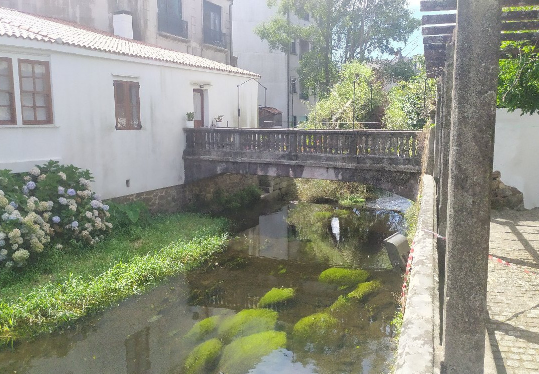 Carballeira de Caldas de Reis景点图片