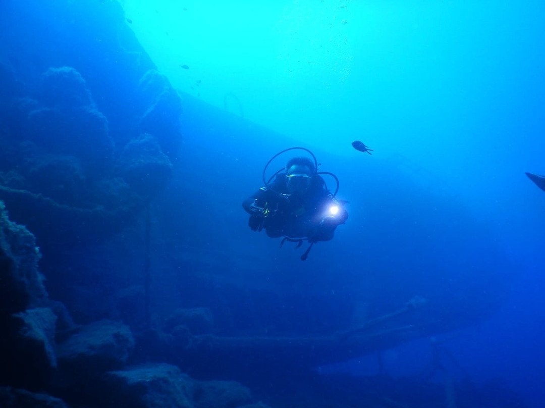 Alisios Sub Centro de Buceo-卡门港必去景点